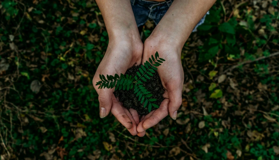 Sustentabilidade Cepe Saúde